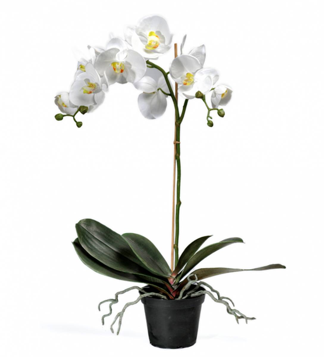 Phalaenopsis 60 cm - kunstig white - bestselger