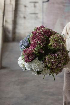 Hovedbilde GRØNNE PLANTER & BLOMSTER