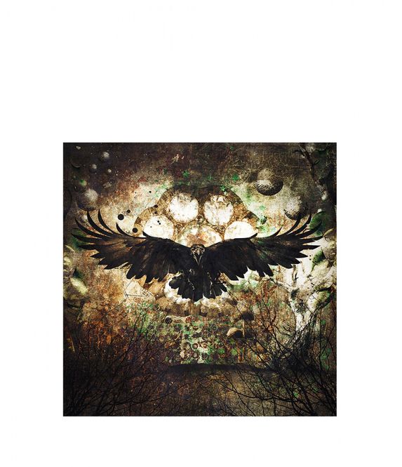 Hovedbilde RAVEN GN8569 120x120 printet på plexi