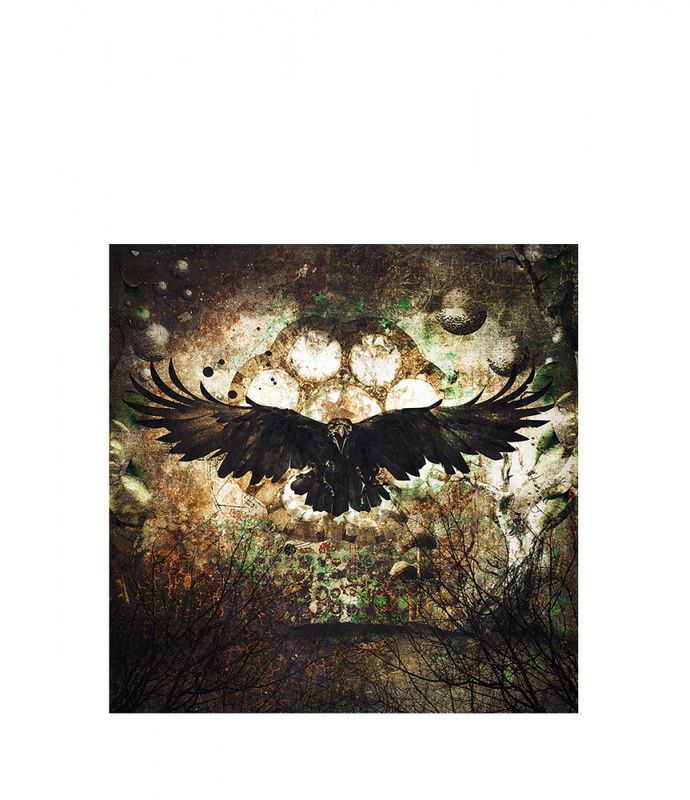 RAVEN GN8569 120x120 printet på plexi
