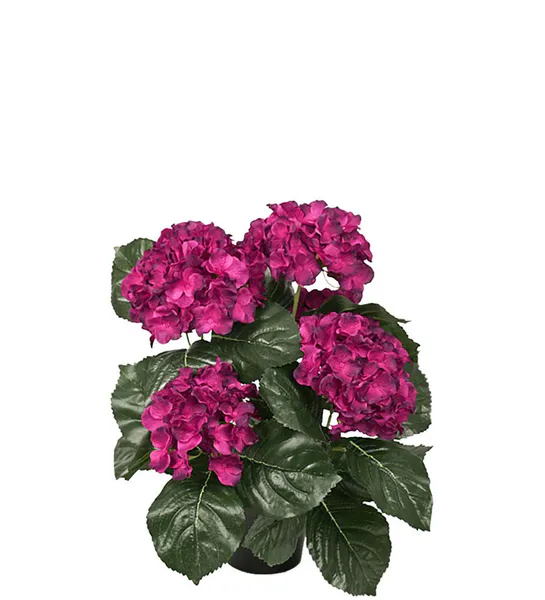 Bilde av Hortensia 37 cm Item no.: 6871-85-1
